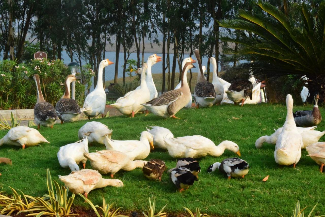 Отель Fazlani Natures Nest - The Wellness Retreat Лонавала Экстерьер фото